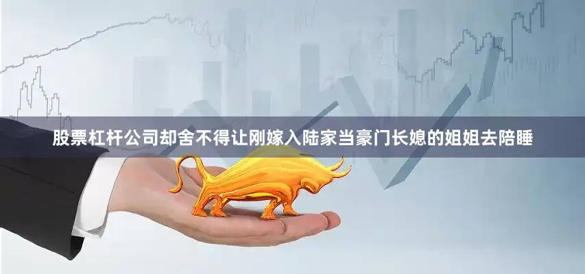 股票杠杆公司却舍不得让刚嫁入陆家当豪门长媳的姐姐去陪睡