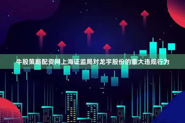 牛股策略配资网上海证监局对龙宇股份的重大违规行为